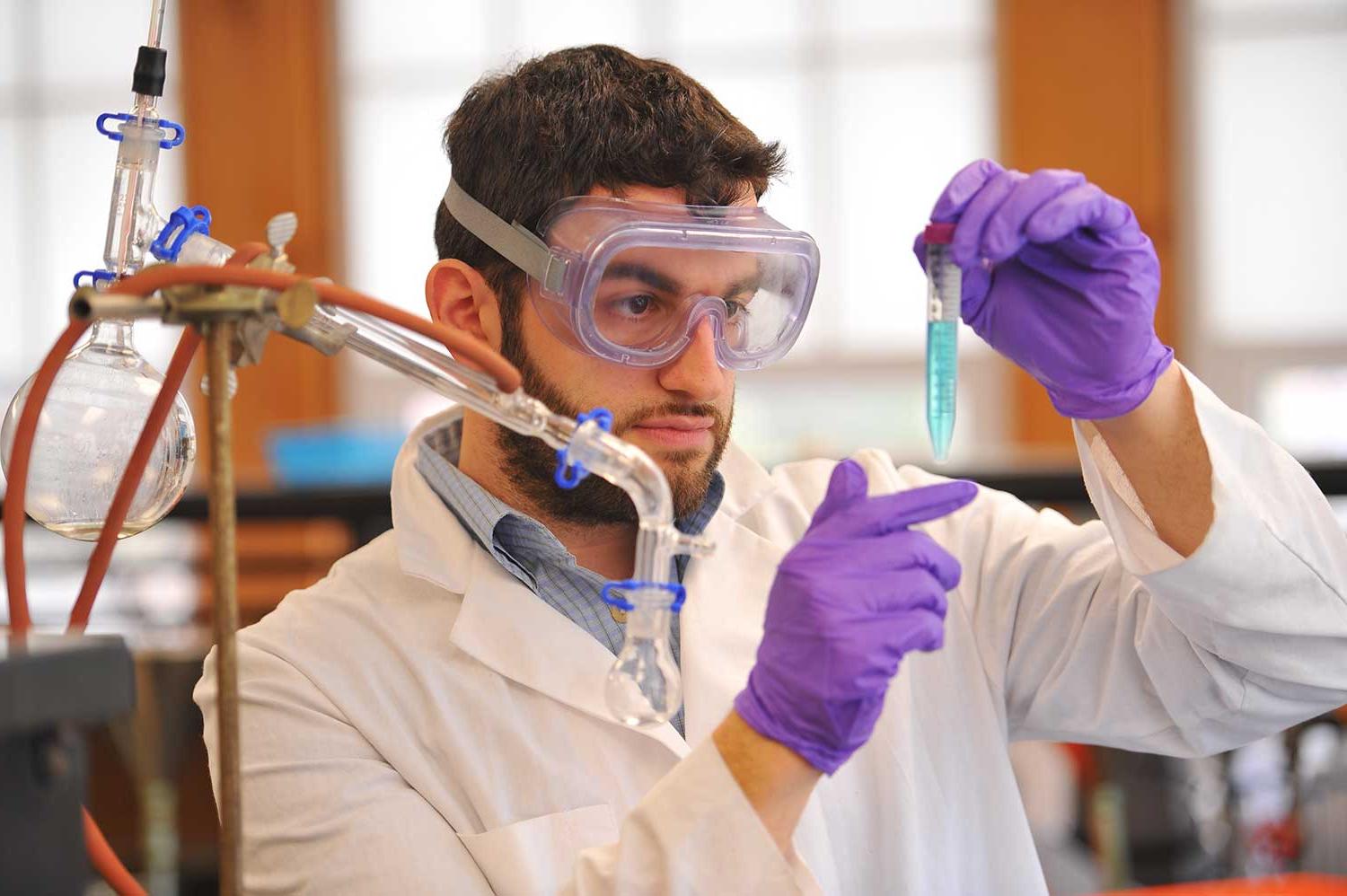 Chemistry Degree students participate in research projects